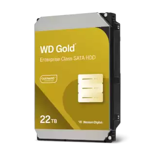 WD GOLD 22TB