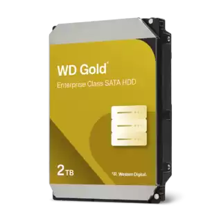 WD GOLD 2TB